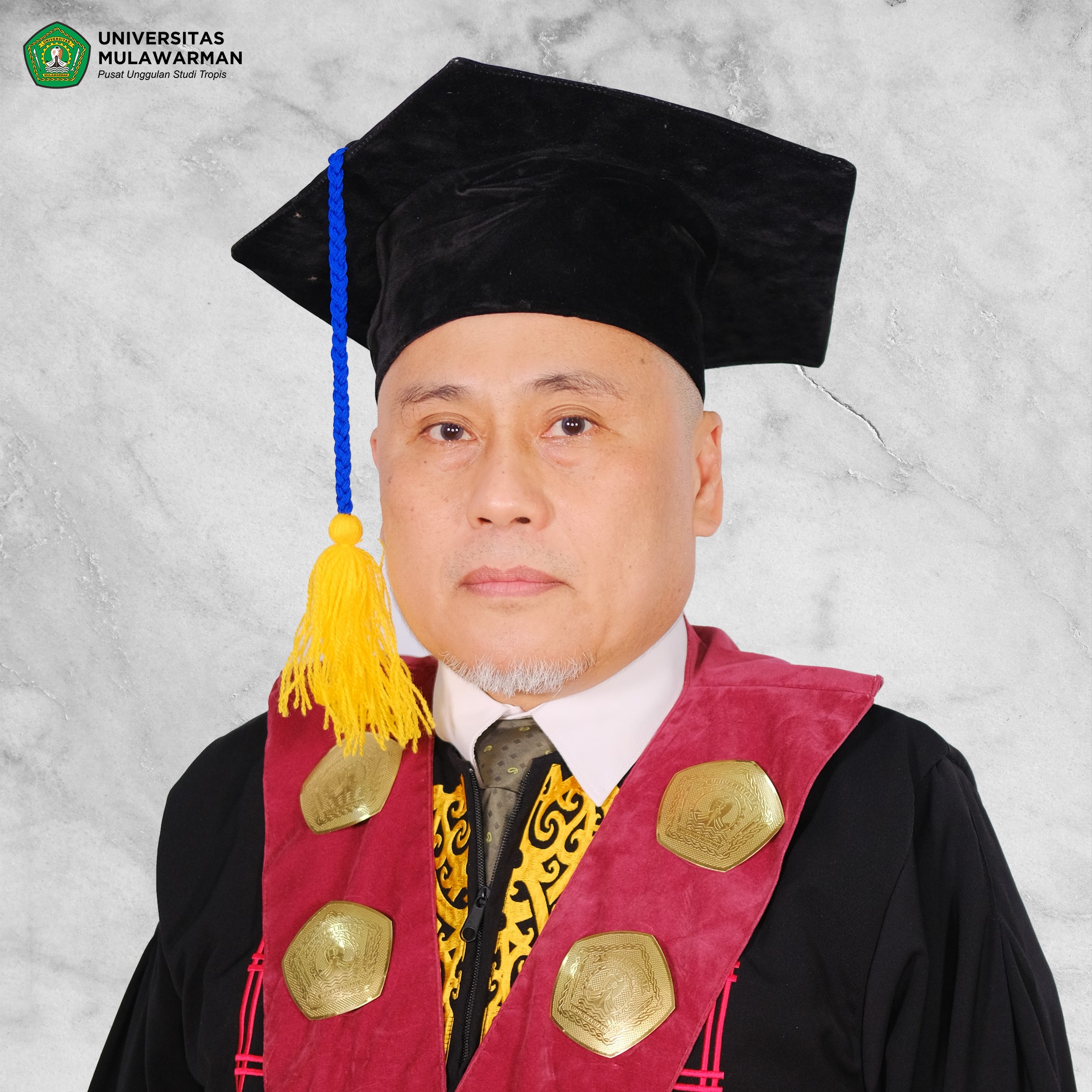 HAMDI MAYULU